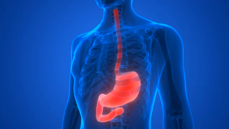 What should I eat when I have stomach problem?