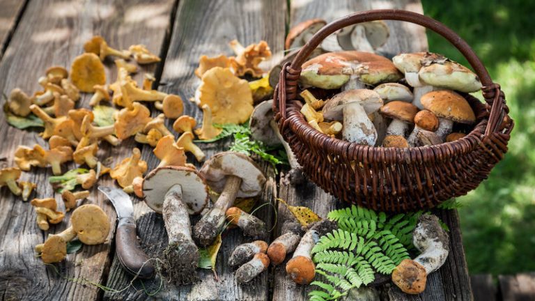 The Health Benefits of Eating Seasonal Foods